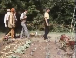 Screenshot from episode 5 of a characters walking through a garden